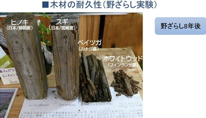 木材の耐久実験
