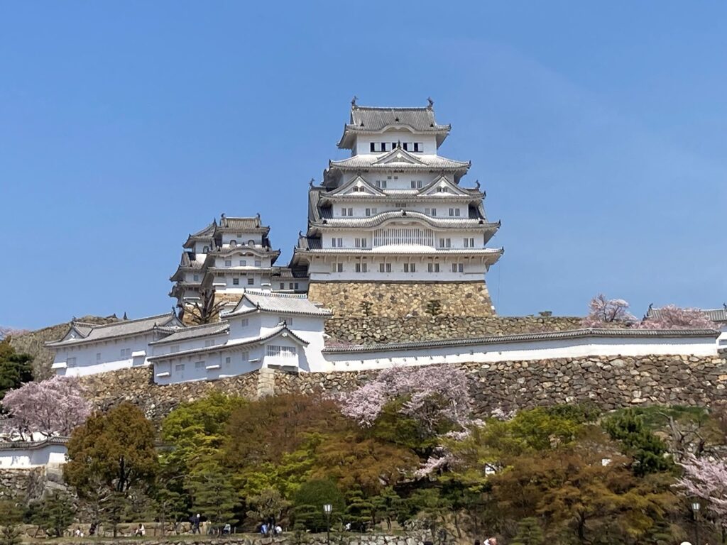 井上　慎太郎