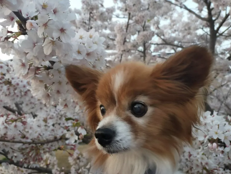 森　優太