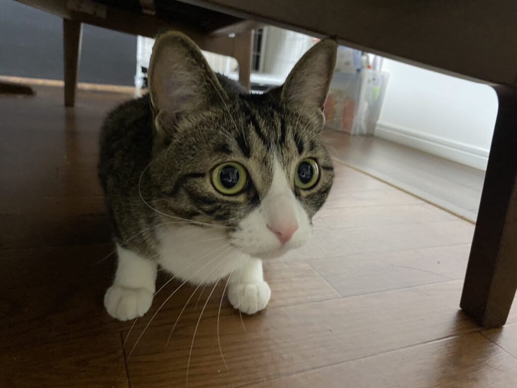 柏木　和博