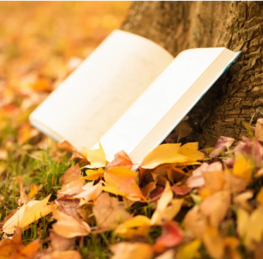 読書の秋