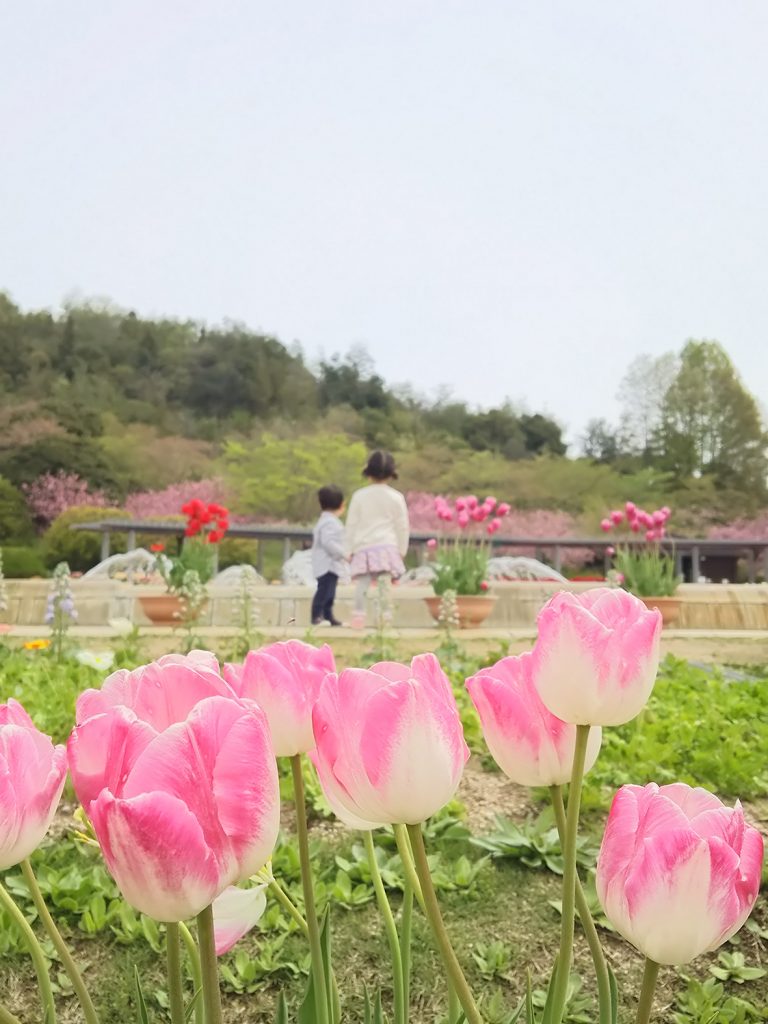 岡本　恭子