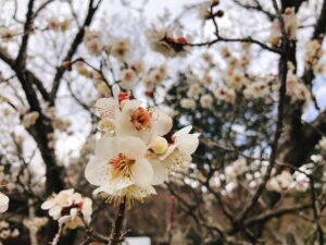 img_main_alt