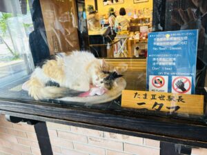 ねこ駅長