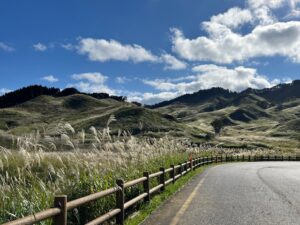 img_main_alt