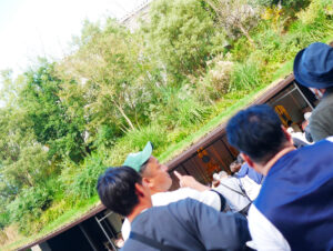 img_main_alt