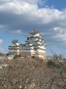 img_main_alt