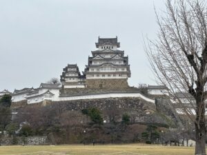 img_main_alt