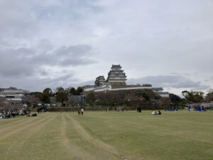 img_main_alt