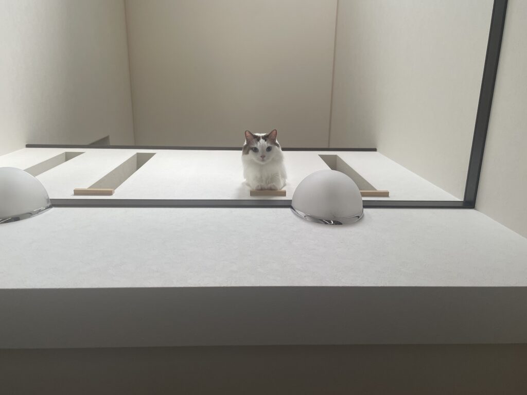 ビルトインガレージについて