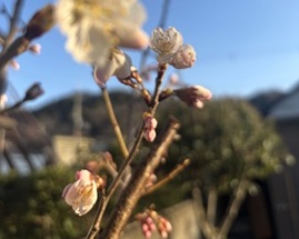 旅先での気づき