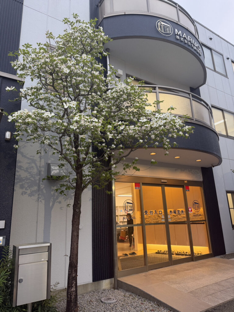 私の好きな景色