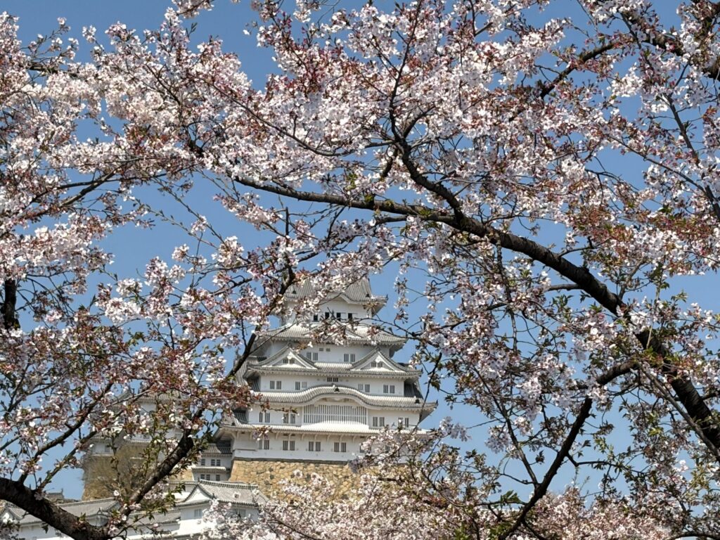 花は盛りに、月は隈なきをのみ、見るものかは。