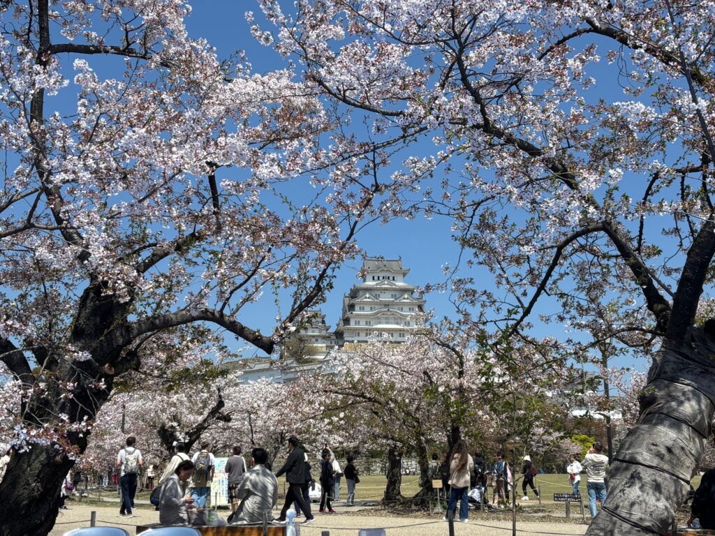 『 岸原建築日記 』・・・ 揖保郡太子町常全にて