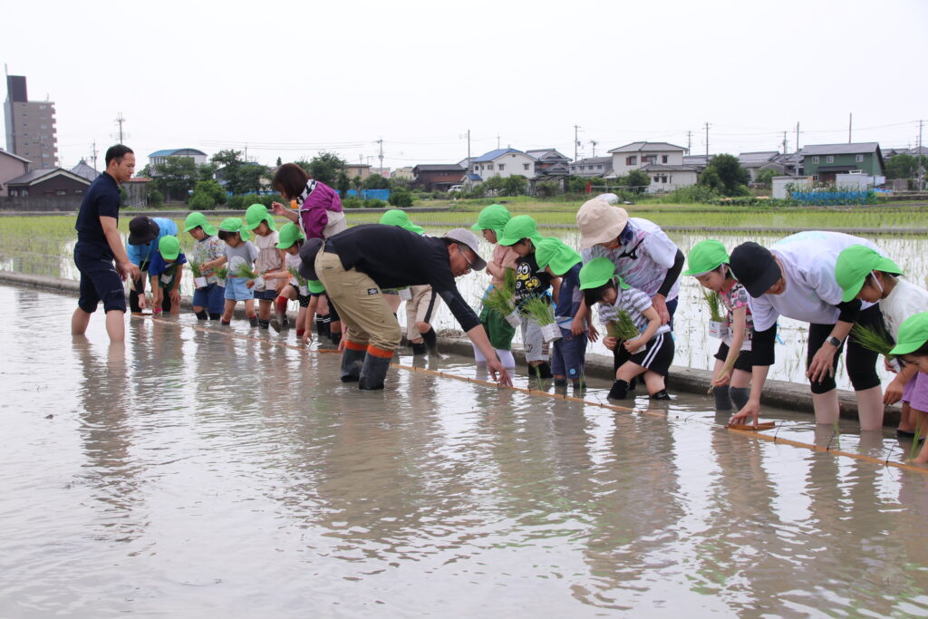 石海保育園の園児たちと田植え体験を行いました!